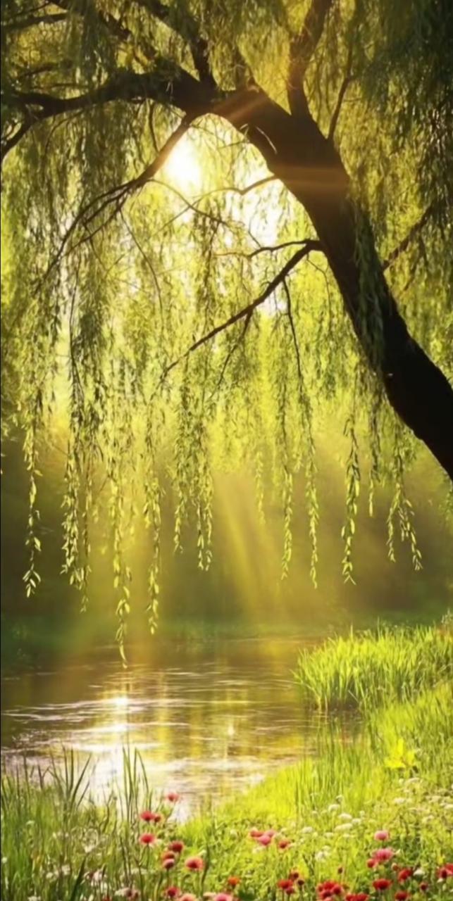 Sanfter energetischer Hintergrund